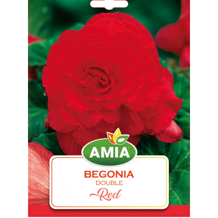 Bulbi Begonia Double Red, calibru 5/6, 2 bucati, AMIA